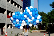 Balony helowe w pękach dostarczone do klienta.