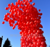 Wypuszczanie balonów helowych zostało rozpoczęte.