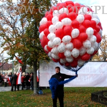 Balony helowe czekają na wypuszczanie.