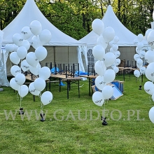 Balony z helem na Stadionie Olimpijskim we Wrocławiu.